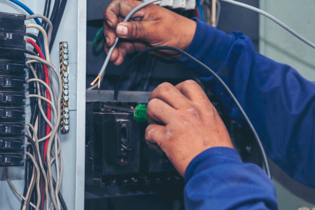 Best Best Electricians Near Me  in Little Falls, MN