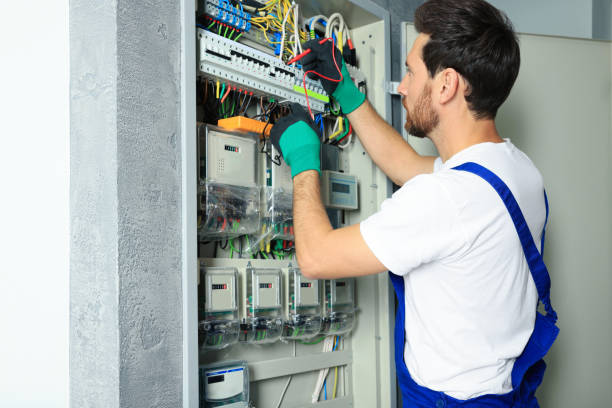 Best Home Electrical Repair  in Little Falls, MN